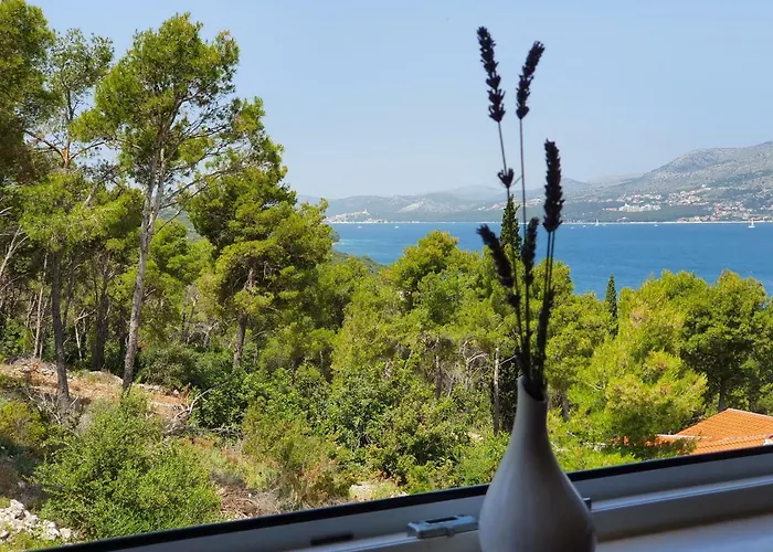 Tihana Trogir